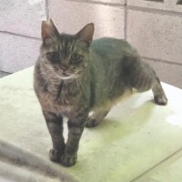 おやすみなさい　お礼は明日に