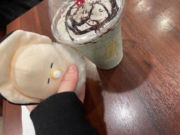 🦪牡蠣は食べられません🦪