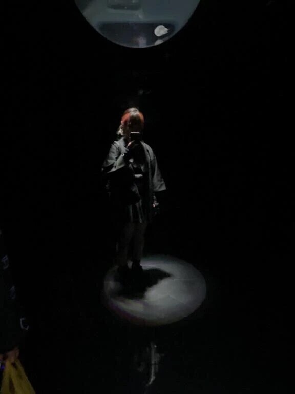 🌼好きな風にね🌼