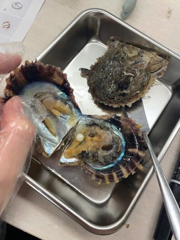 🐚気持ちよかった....🐚