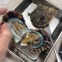 🐚気持ちよかった....🐚