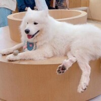 🐶わんわんわんわん🐶