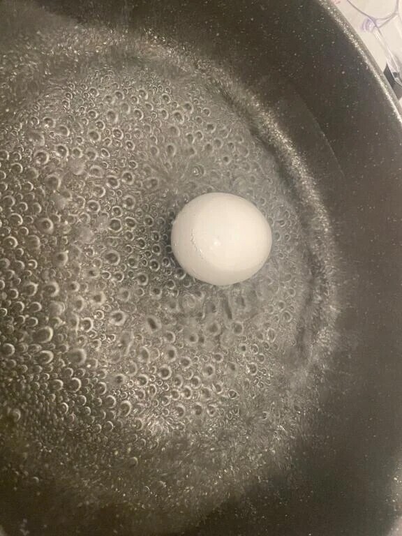🥚無心になるんだよね🥚