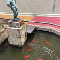 🐟こんな出会い🐟