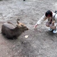 🦌癒されまるる🦌