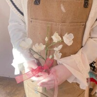 🌸うれしいね🌸