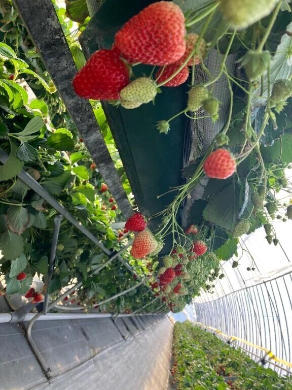 乳首が弱いんだね^_^