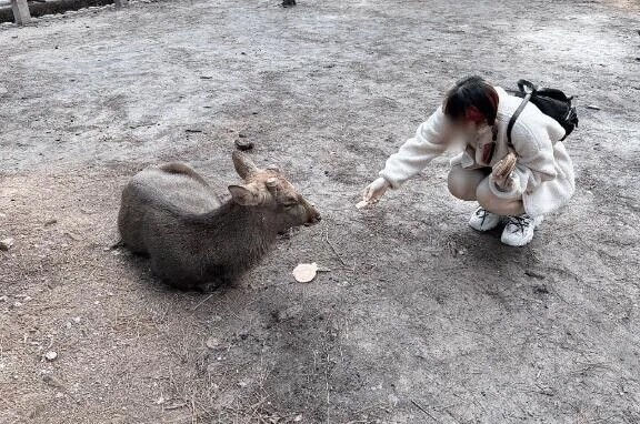 💭カオスあんどカオス💭