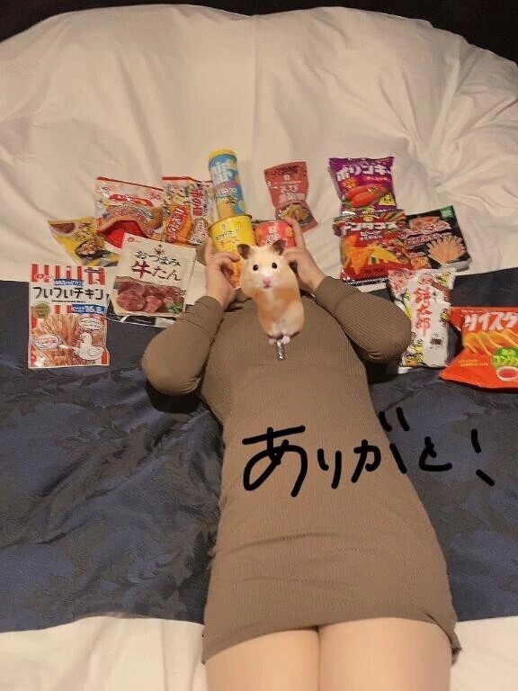 囲まれた1日◎