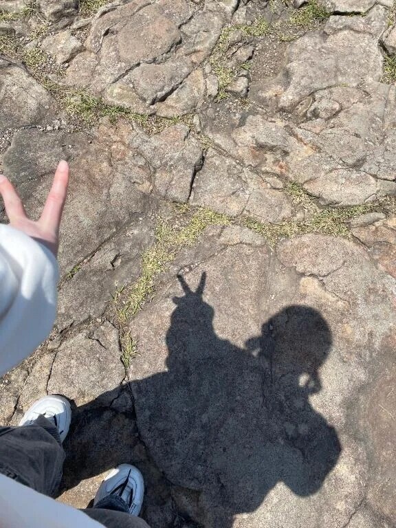 🌱かげおくりは怖かった🌱