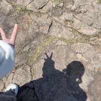 🌱かげおくりは怖かった🌱
