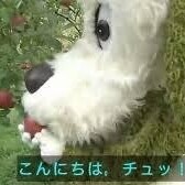 大切なお願い?