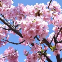 比嘉～HIGA～
