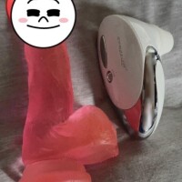 私の相棒ちゃんたち…?