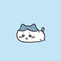 (?? . ?? . ).?.?