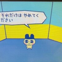 ばばーい?