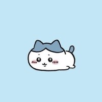(?? . ?? . ).?.?