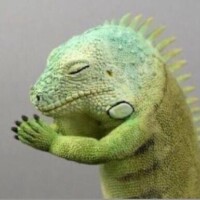 性病検査??