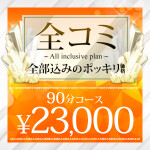 分かりやすいポッキリ価格　全コミプラン