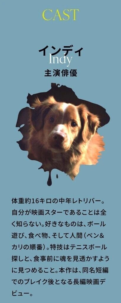 いぬはぶじです