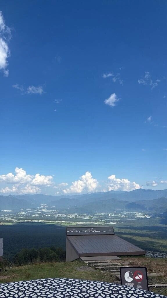 平日の方が😊
