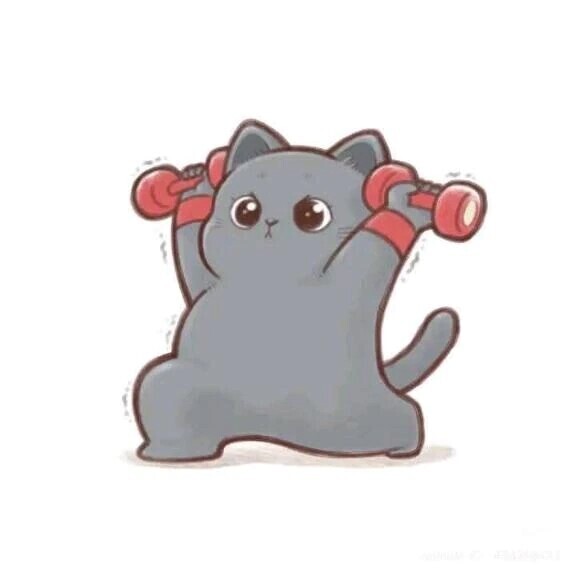 最近のマイブーム🏋️‍♀️