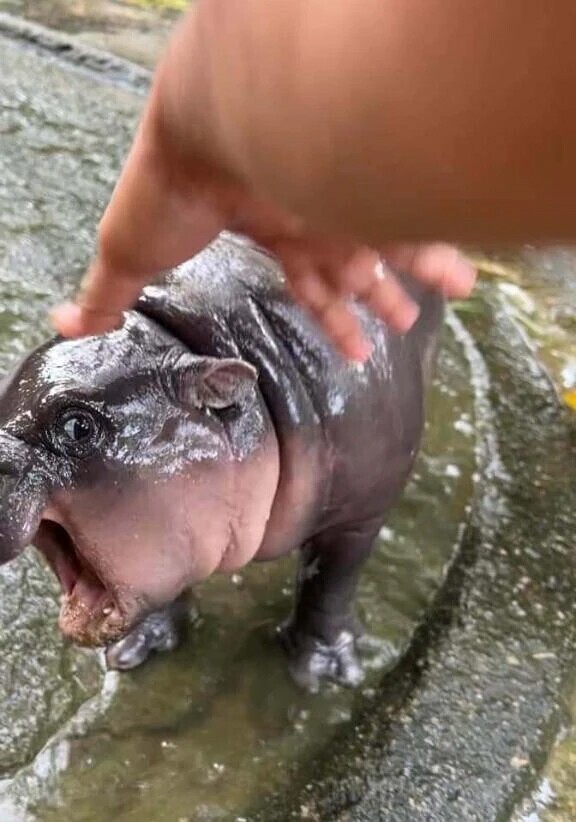 うぃんはろ