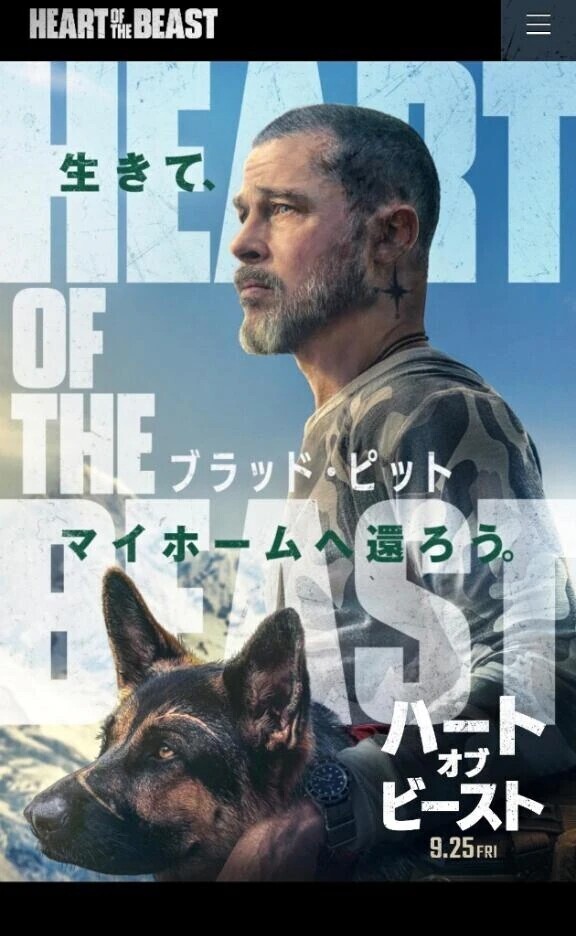 わんわん