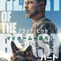 みる