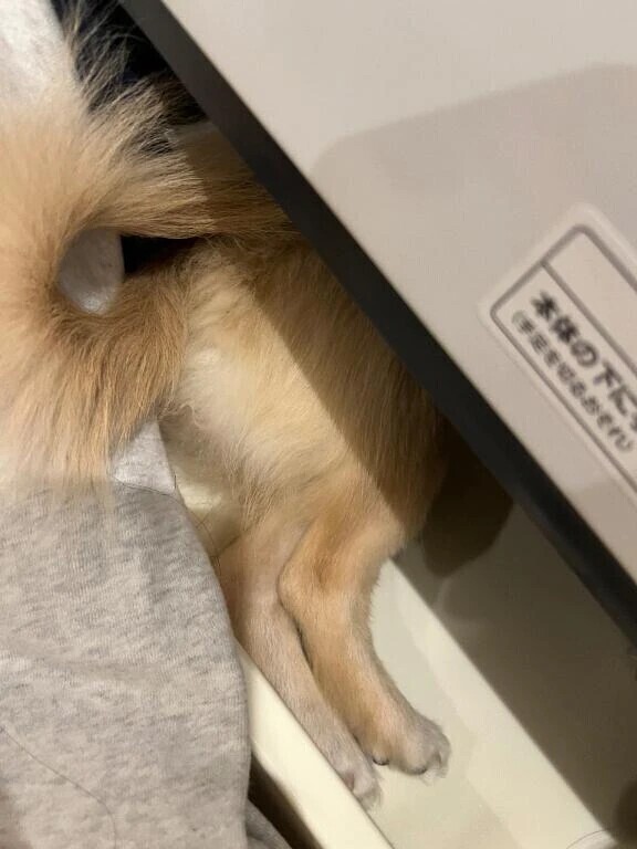 一緒に過ごしたい🥺