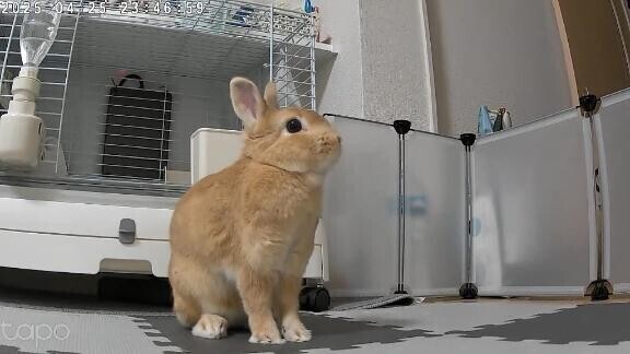 緊急すぎるお願い( .. )♡