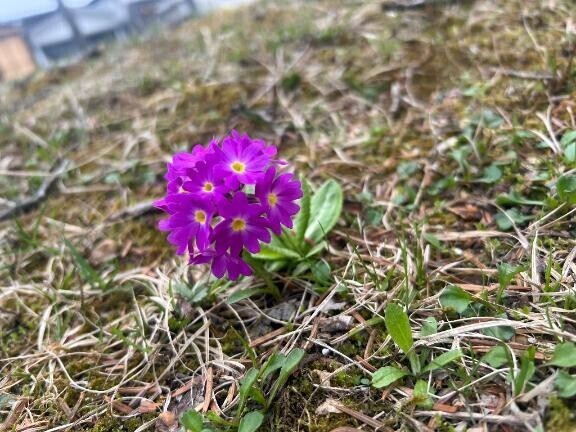 分かんないけど😊