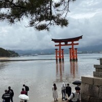 なこ
