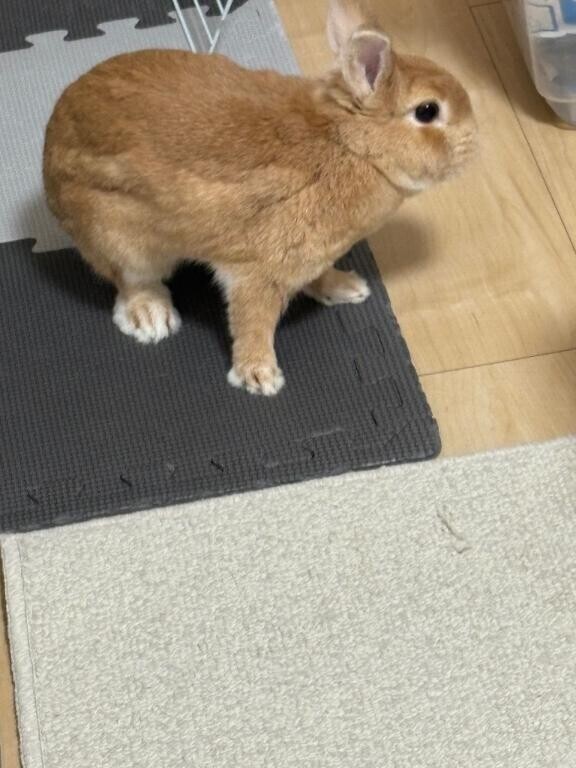 学習シます🥺🥺
