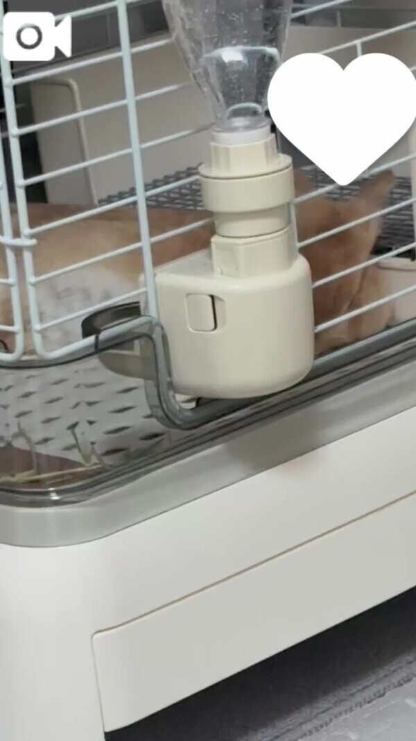 無理は厳禁😖