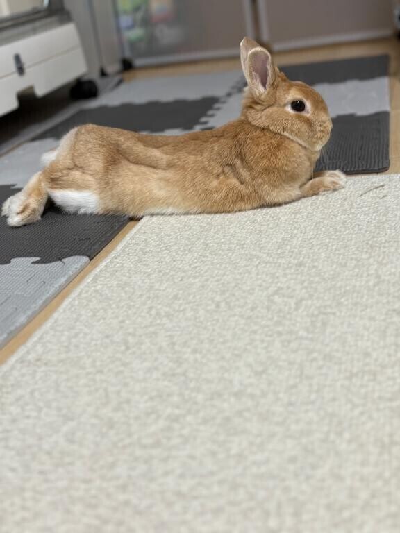 向かいまち🚄