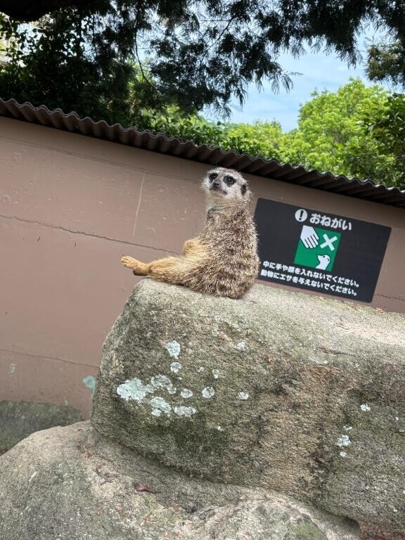 凄かった👀