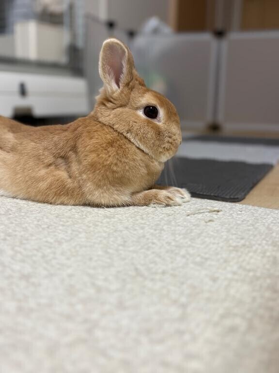 憂鬱な1日をせっ♡すで💓‪
