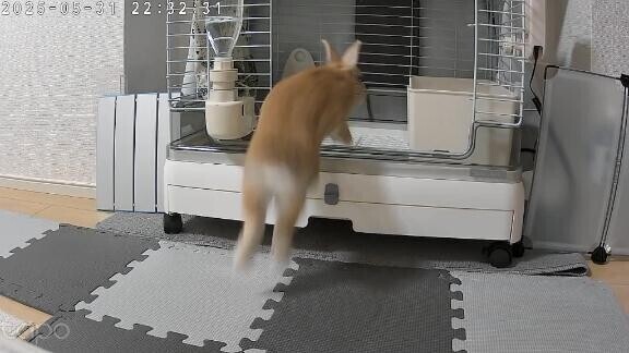 おはよう(っ﹏-) .｡