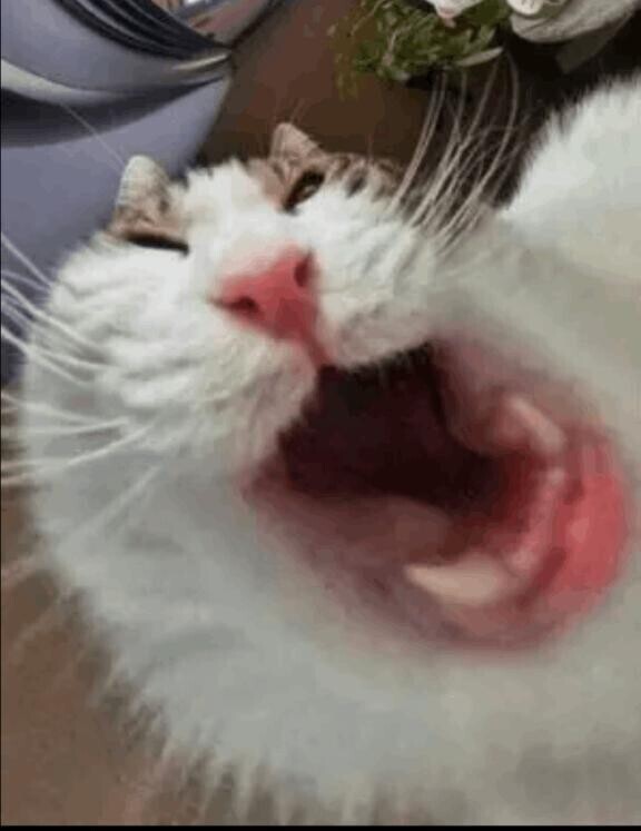 遠い過去になってしまう
