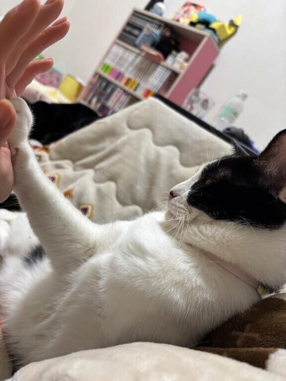 もう少しや…