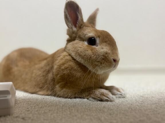向かいます(っ﹏-) .｡