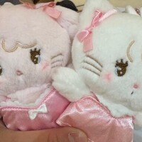 まほ