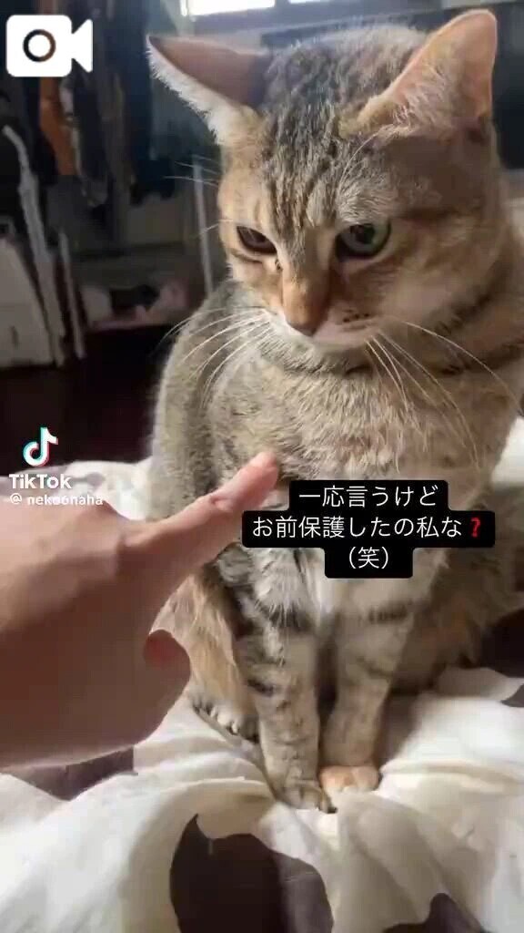 これめっちゃわらた💓