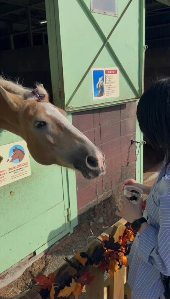 🐴さんに🥕あげたよ🫶