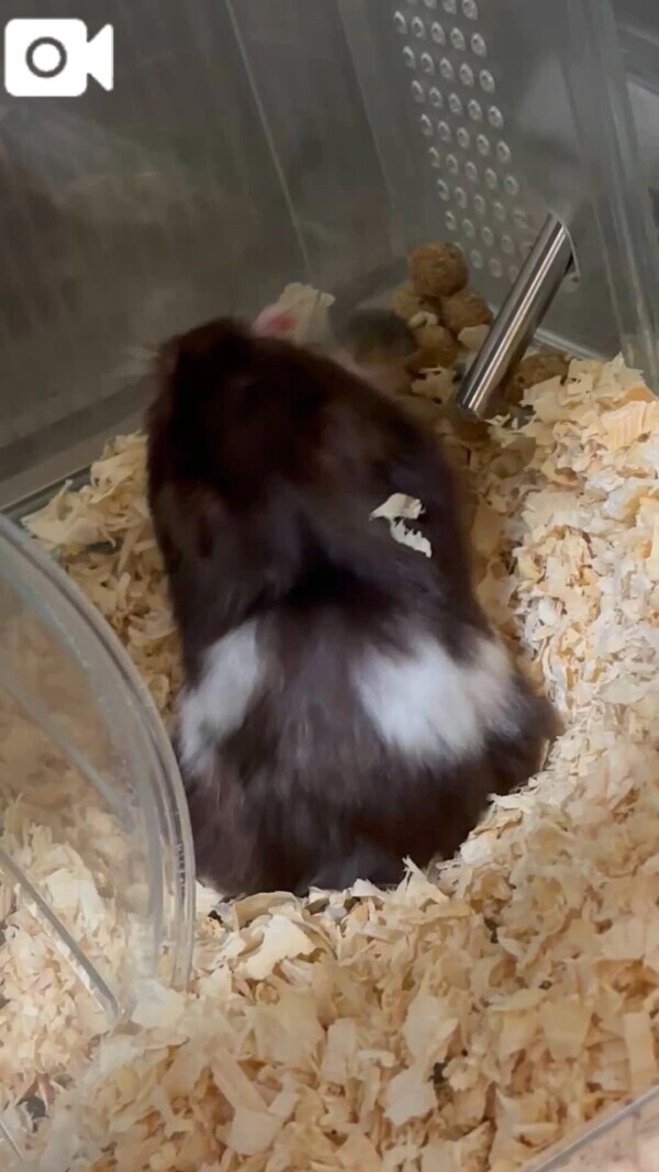 また明日(*´︶`*)ﾉ