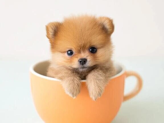 急に外乾燥しすぎて困ってます🥲💦