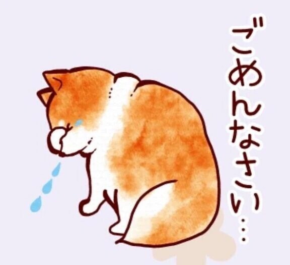 申し訳ないです🙇‍♀️💦