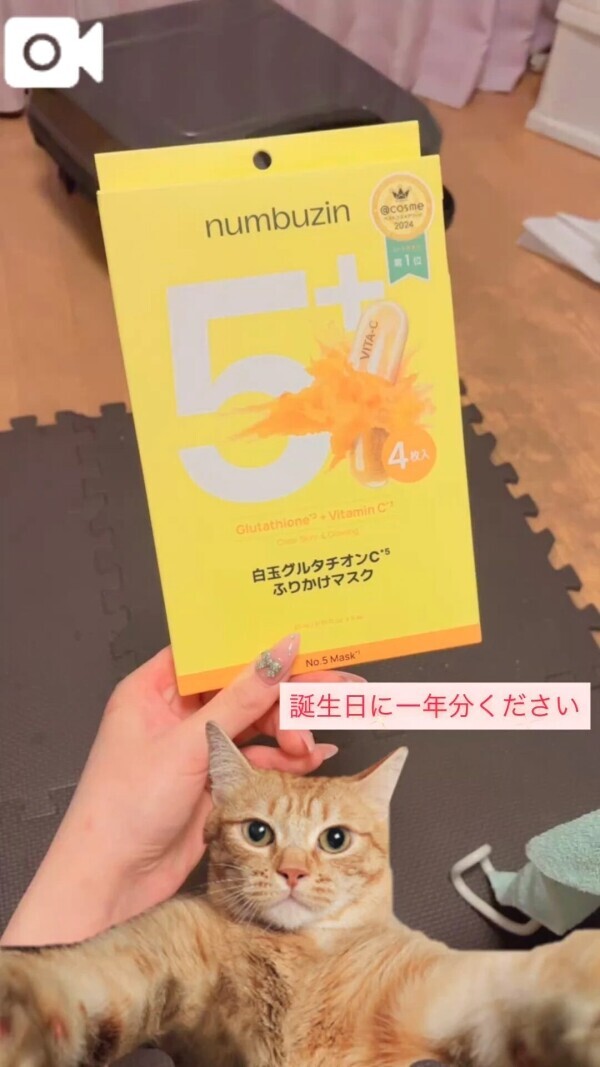 はなちゃんはリスなのか