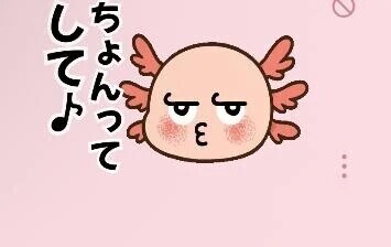 必読❣️絶対❣️